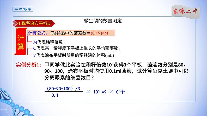 课件 1.2.4微生物的数量测定05