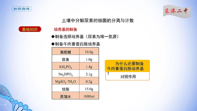 课件 1.2.4微生物的数量测定08