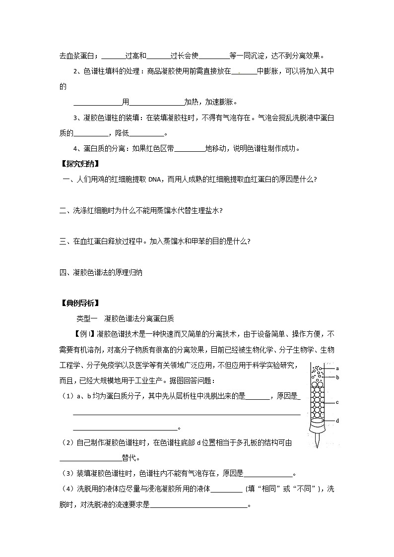 生物：5.3《血红蛋白的提取和分离》学案（2）（新人教版选修1）03
