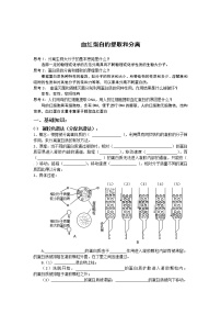 高中生物人教版 (新课标)选修1《生物技术实践》课题3 血红蛋白的提取和分离学案及答案