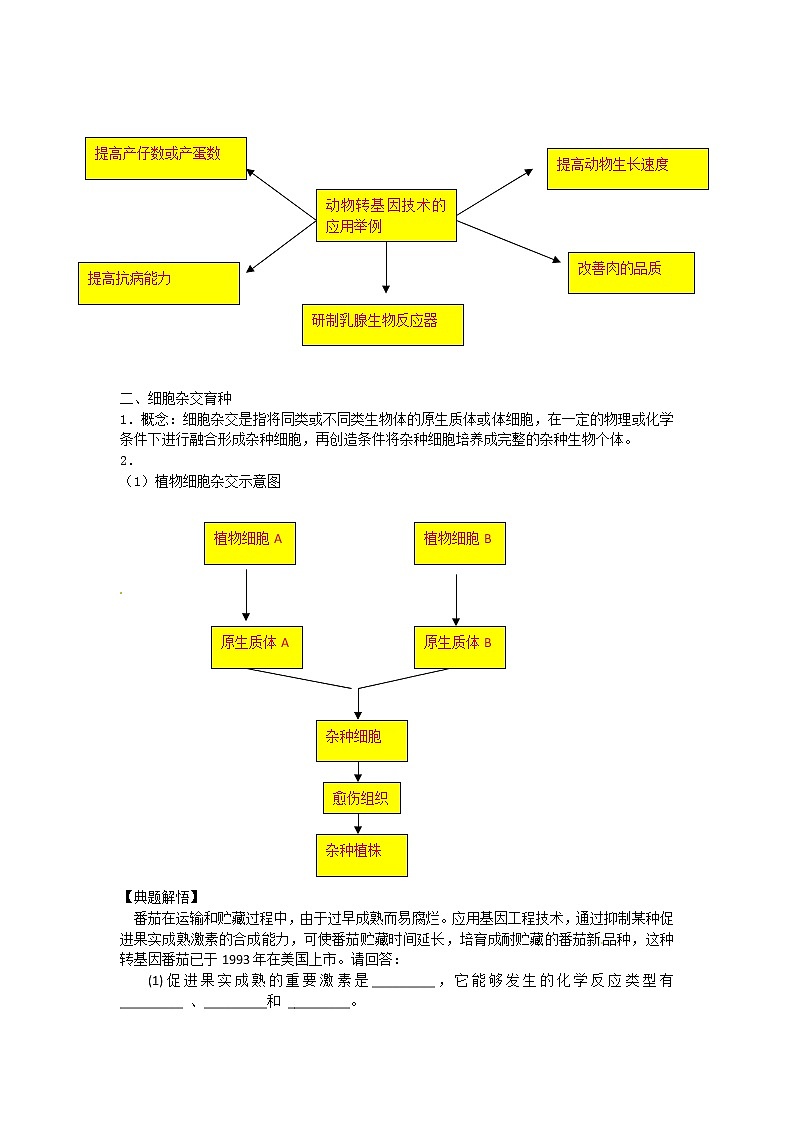 生物：2.2《现代生物技术在育种上的应用》学案（新人教版选修2）02