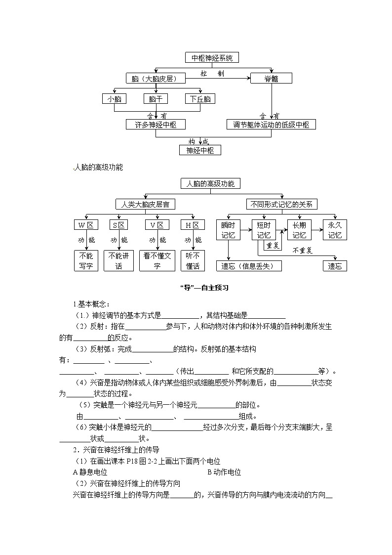 高中生物精品学案：2.1 通过神经系统的调节02