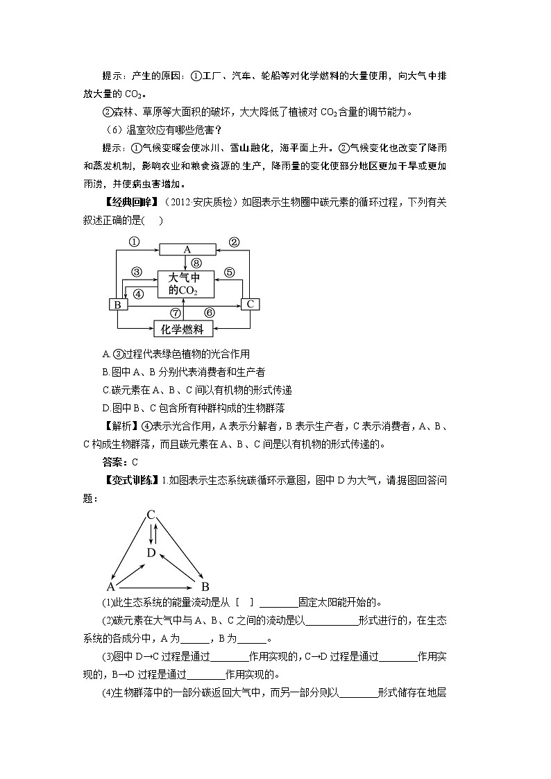 高中生物精品学案：5.3 生态系统的物质循环03