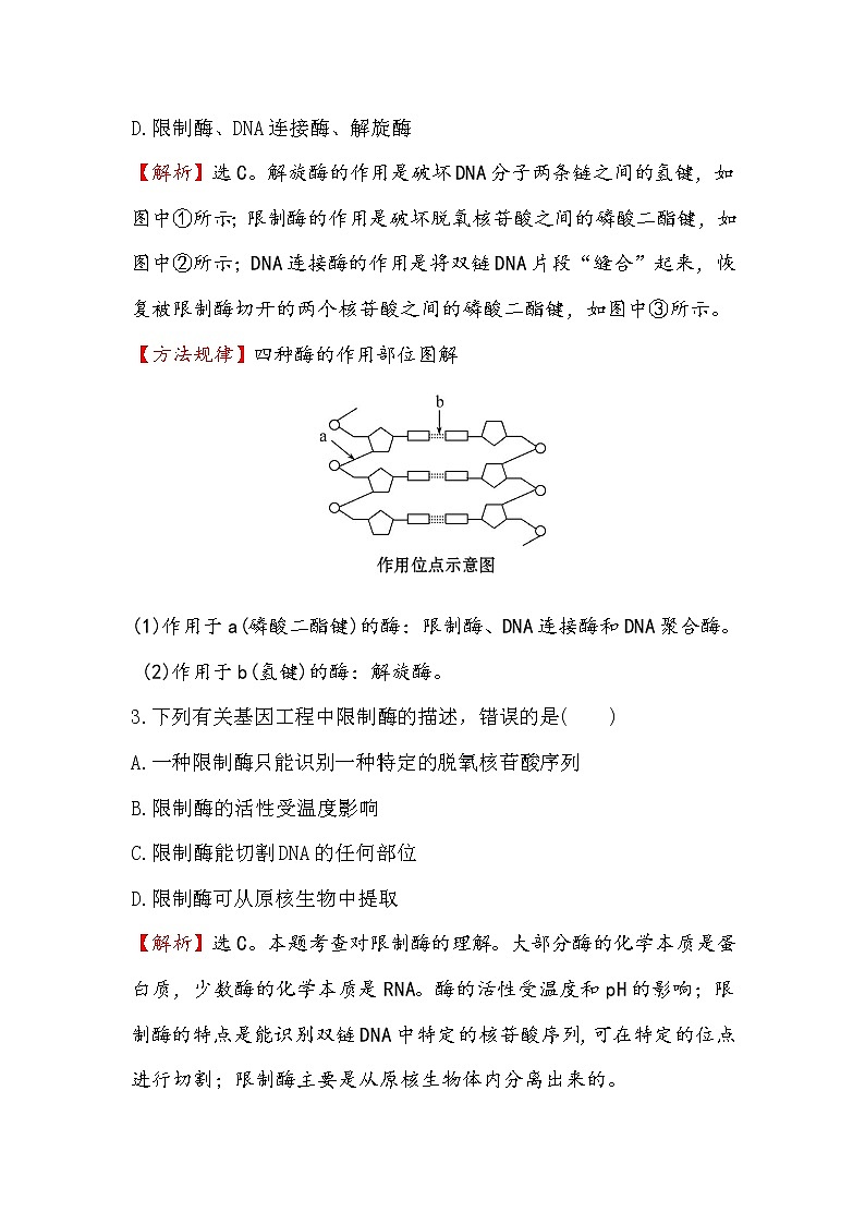 高二生物人教版选修三练习：1.1DNA重组技术的基本工具 2 word版含解析02