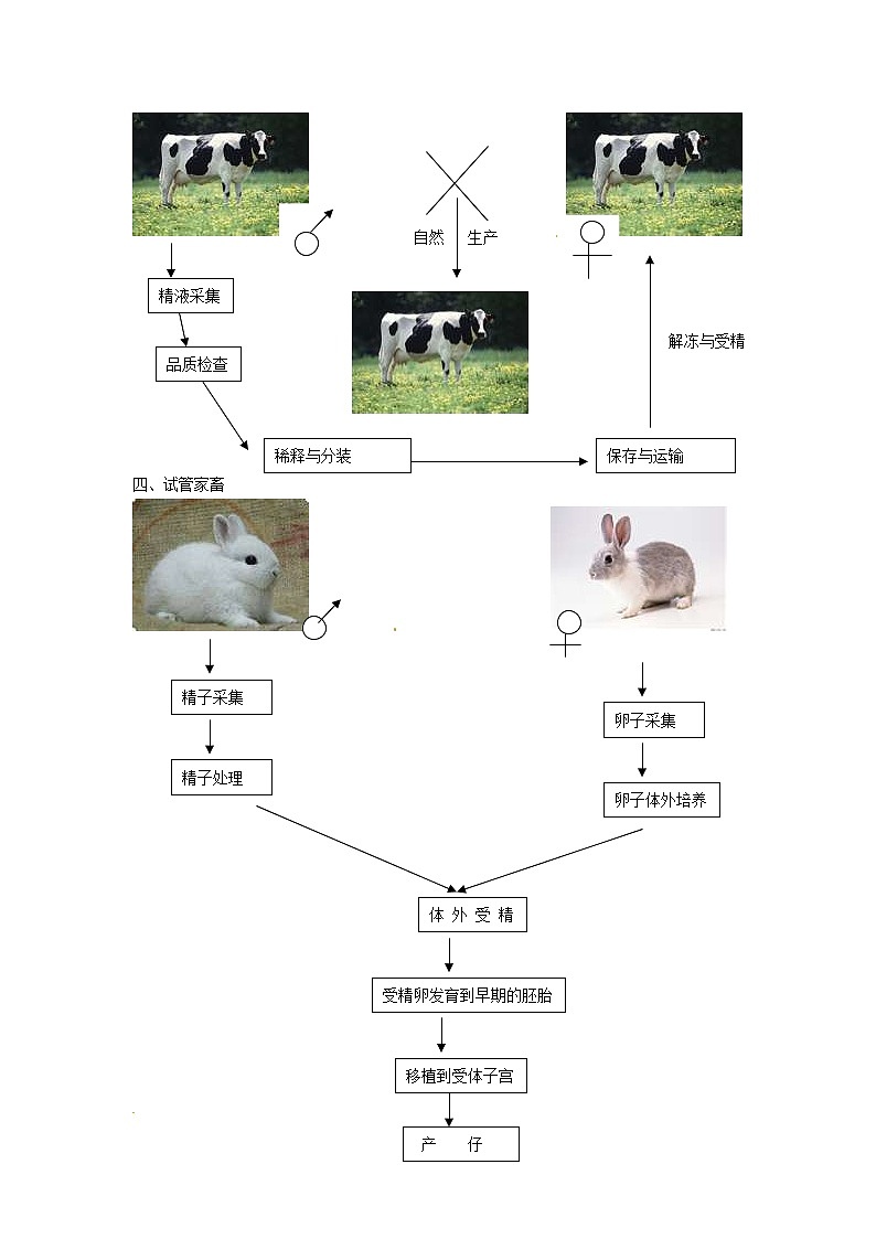 生物：2.1《农业生产中的繁殖控制技术》学案（新人教版选修2）第2页