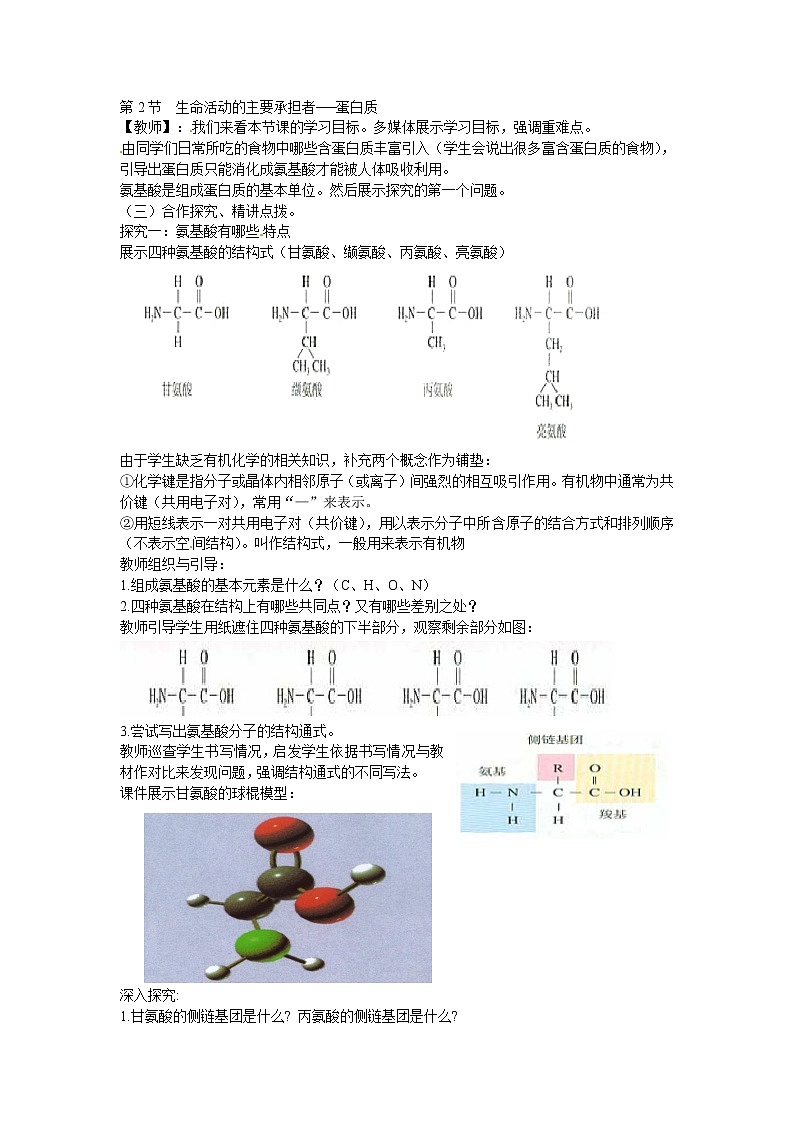 人教版高中生物必修一第二章第2节《生命活动的主要承担者——蛋白质》教案02