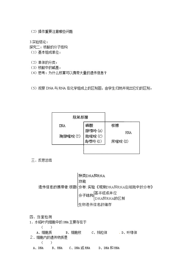 人教版高中生物必修一第二章第3节《遗传信息的携带者——核酸》导学案02