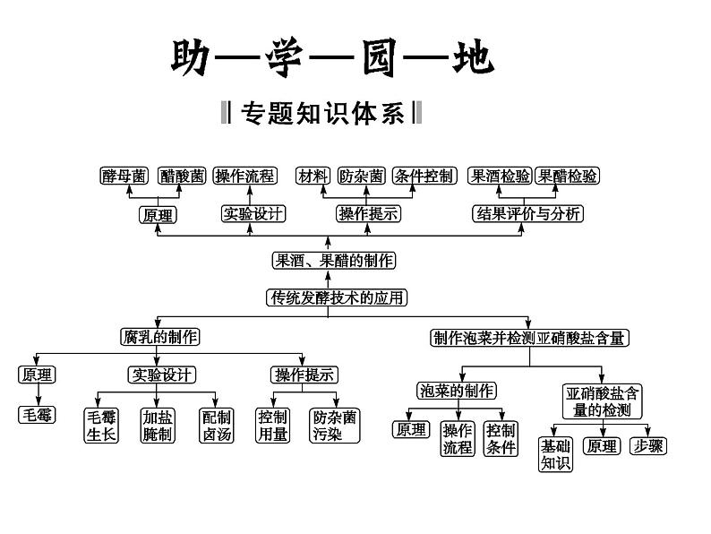 高中生物高效课堂同步课件：1专题整合 《传统发酵技术的应用》（选修1）第2页