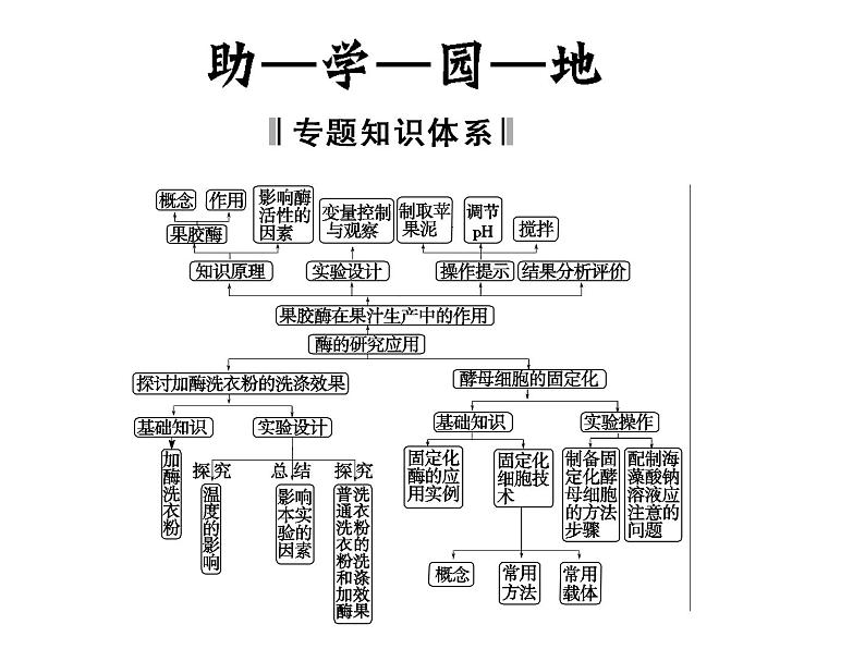 高效课堂同步课件：4专题整合《酶的研究与应用》（选修1）02