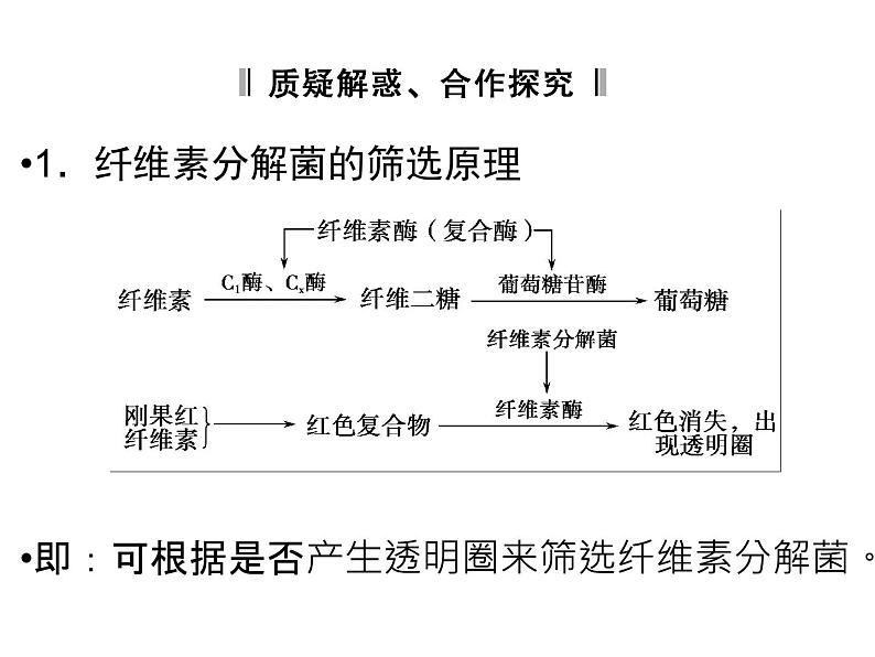 高效课堂同步课件：2-3分解纤维素的微生物的分离（选修1）第7页