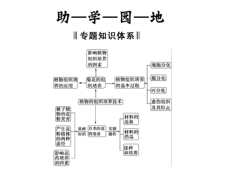 高效课堂同步课件：3专题整合《植物的组织培养技术》（选修1）02