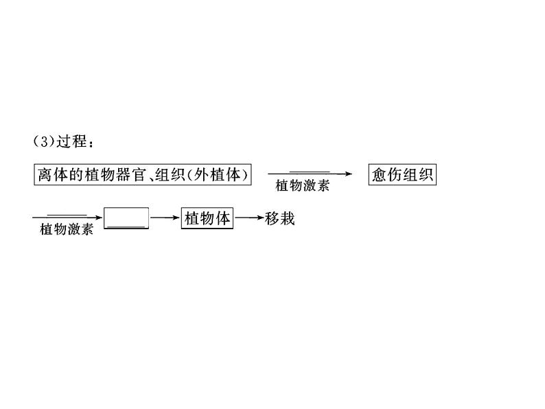 高效课堂同步课件：3-1菊花的组织培养（选修1）第6页