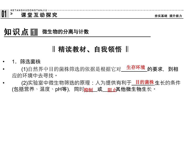 高效课堂同步课件：2-2土壤中分解尿素的细菌的分离与计数（选修1）04