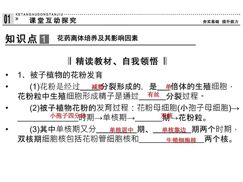 高效课堂同步课件：3-2月季的花药培养（选修1）04