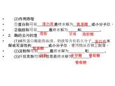 高效课堂同步课件：4-2探讨加酶洗衣粉的洗涤效果（选修1）