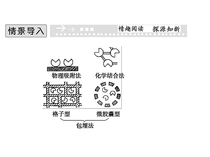 高效课堂同步课件：4-3酵母细胞的固定化（选修1）02