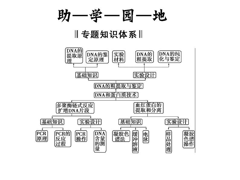 高效课堂同步课件：5专题整合《DNA的蛋白质技术》（选修1）第2页