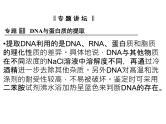 高效课堂同步课件：5专题整合《DNA的蛋白质技术》（选修1）