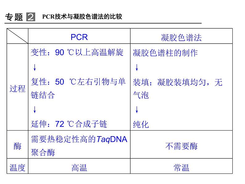 高效课堂同步课件：5专题整合《DNA的蛋白质技术》（选修1）第6页