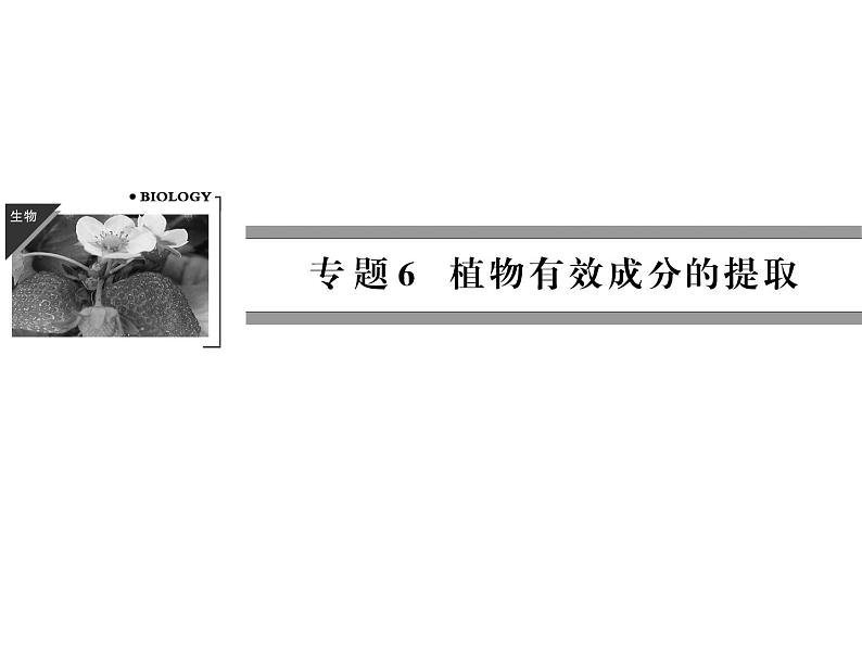 高效课堂同步课件：6-1植物芳香油的提取（选修1）01