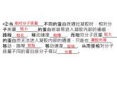 高效课堂同步课件：5-3血红蛋白的提取和分离（选修1）