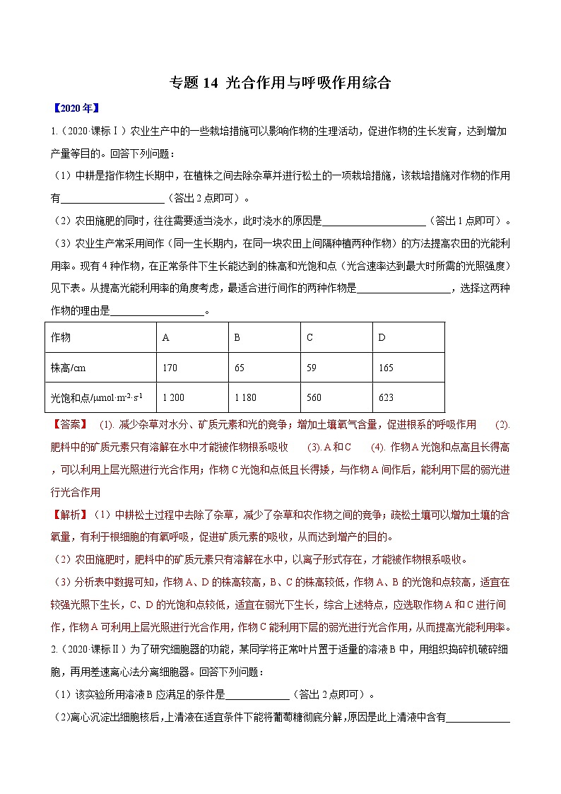 高考生物（2011~2020）真题专项练习   专题14 光合作用与呼吸作用综合 （解析版）01