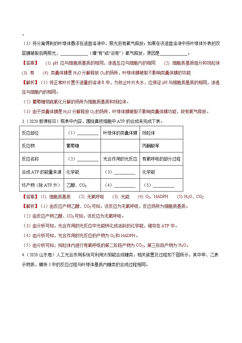 高考生物（2011~2020）真题专项练习   专题14 光合作用与呼吸作用综合 （解析版）02