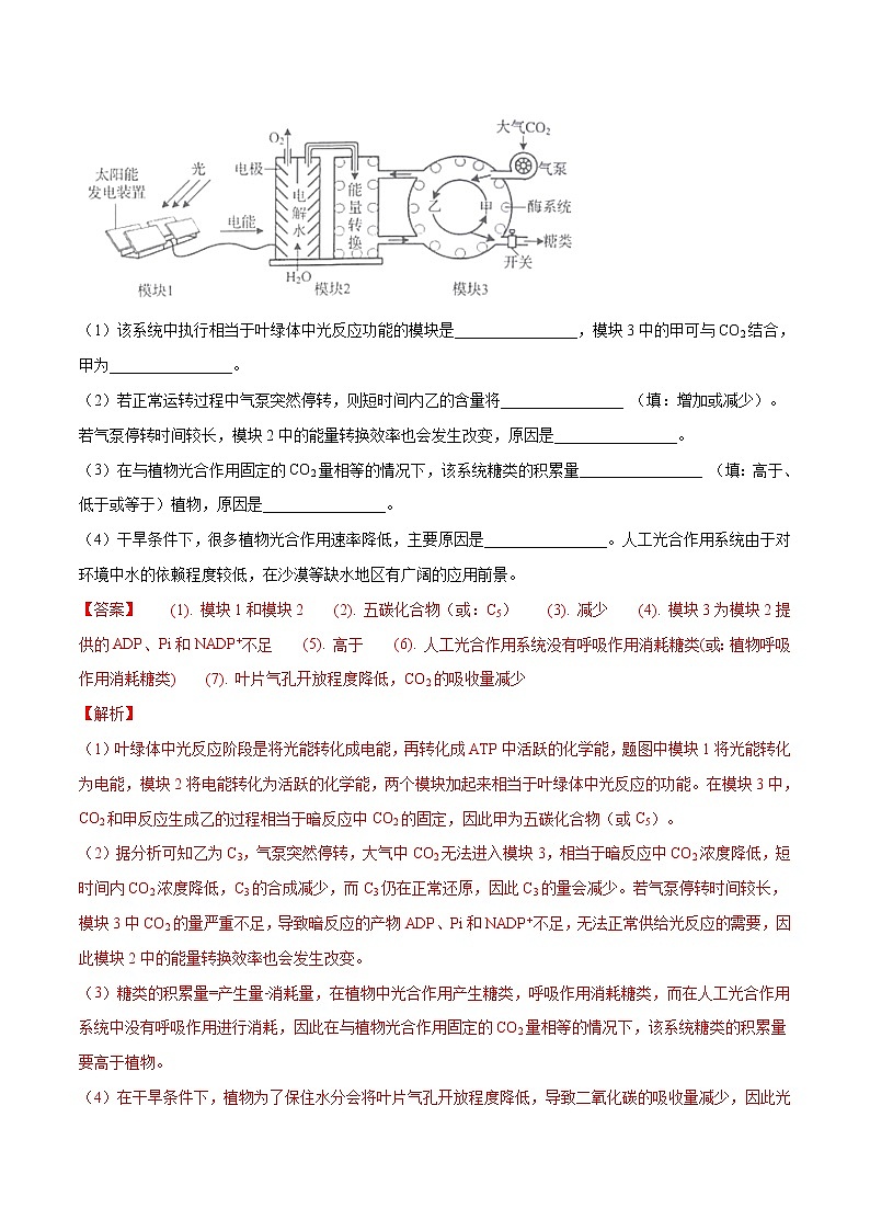 高考生物（2011~2020）真题专项练习   专题14 光合作用与呼吸作用综合 （解析版）03
