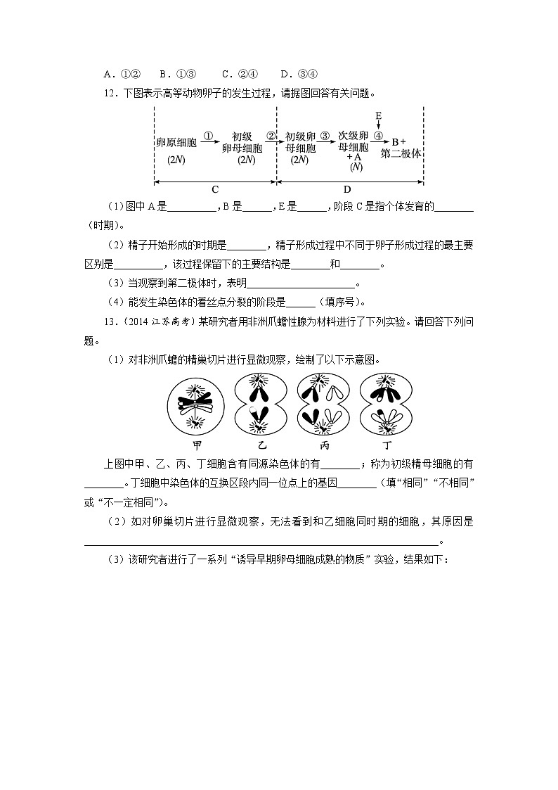 生物人教版选修3自我小测 3.1　体内受精和早期胚胎发育 Word版含解析03