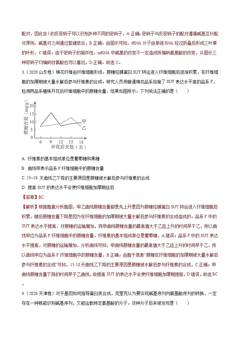 高考生物（2011~2020）真题专项练习   专题04 遗传的分子基础 （解析版）第2页