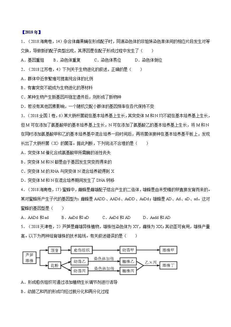 高考生物（2011~2020）真题专项练习   专题06 生物的变异与进化 （原卷版）03