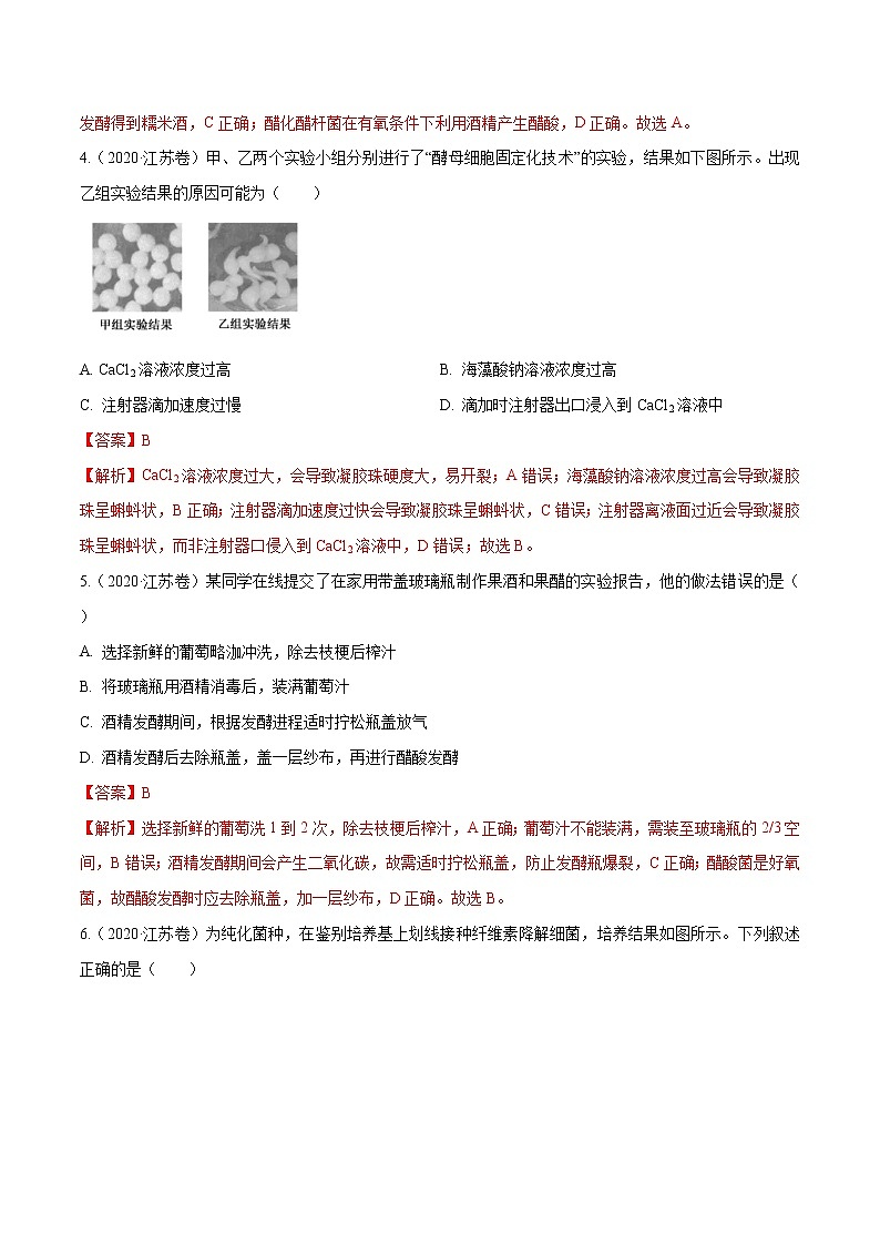 高考生物（2011~2020）真题专项练习   专题11 生物技术实践 （解析版）第3页