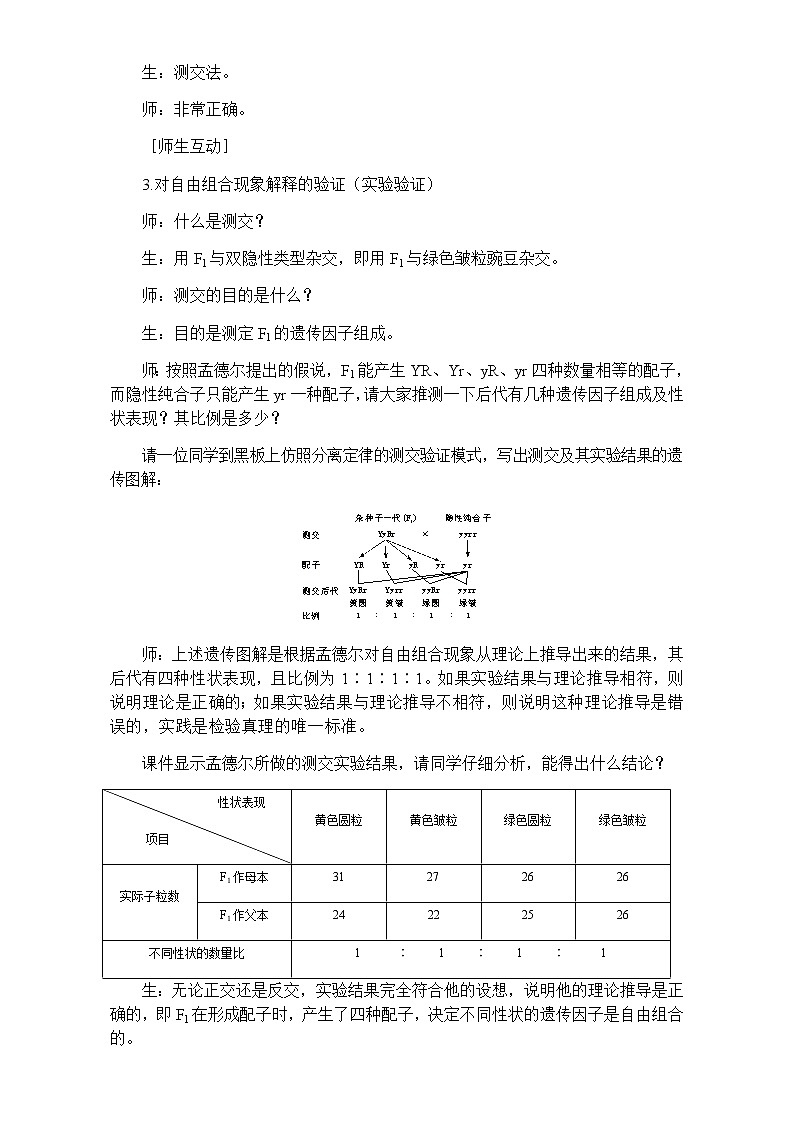 人教版高一生物必修2教案 1.2孟德尔的豌豆杂交实验（二）（教案）Word版02