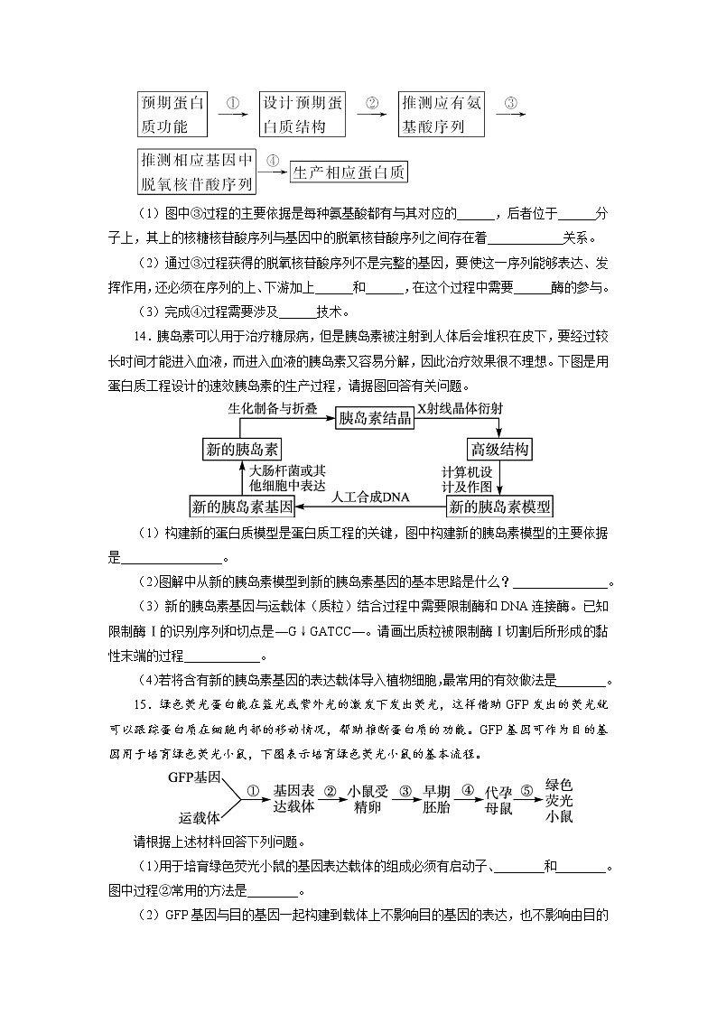 生物人教版选修3自我小测 1.4　蛋白质工程的崛起 Word版含解析03