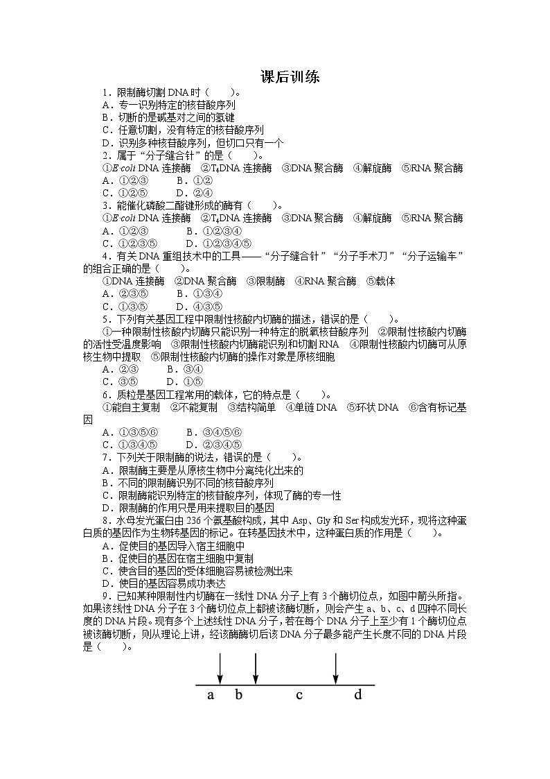 生物人教版选修3课后训练 1.1DNA重组技术的基本工具 Word版含解析01