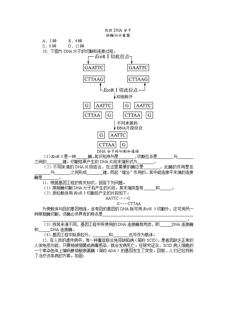 生物人教版选修3课后训练 1.1DNA重组技术的基本工具 Word版含解析02