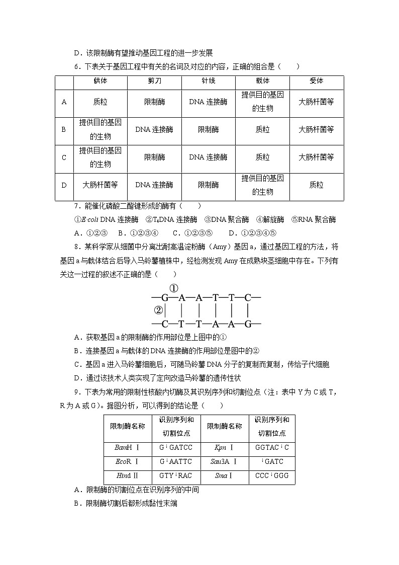 生物人教版选修3自我小测 1.1　DNA重组技术的基本工具 Word版含解析02