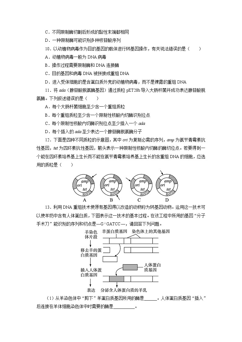生物人教版选修3自我小测 1.1　DNA重组技术的基本工具 Word版含解析03