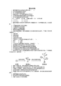 高中生物人教版 (新课标)选修3《现代生物科技专题》2.1.1 植物细胞工程的基本技术习题