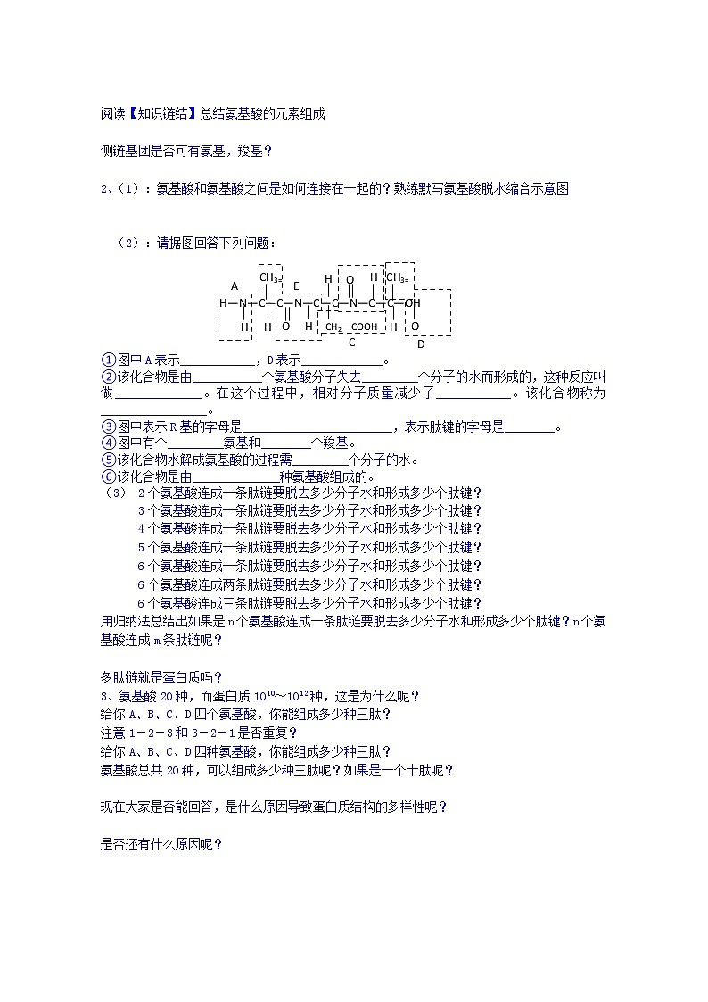 高中生物教案 必修一：第二章 组成细胞的分子 第2节 生命活动的主要承担者——蛋白质02