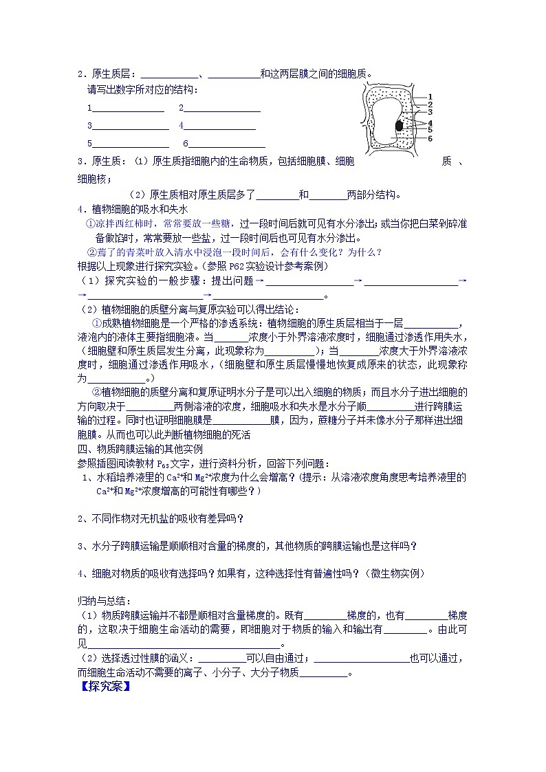 高中生物教案 必修一：第4章 细胞的物质输入和输出 第1节 物质跨膜运输的实例02