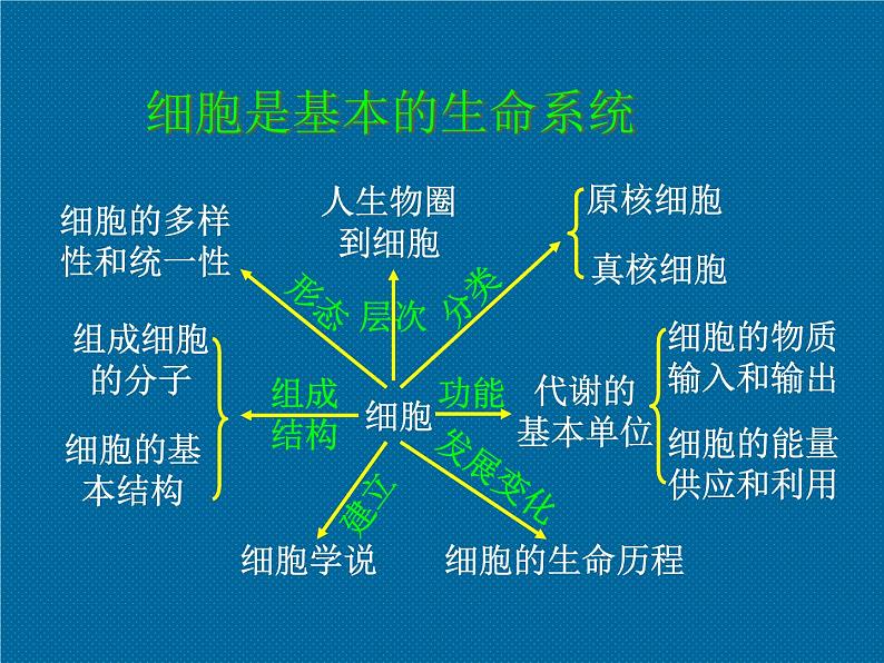 高中生物必修1全册总复习课件03