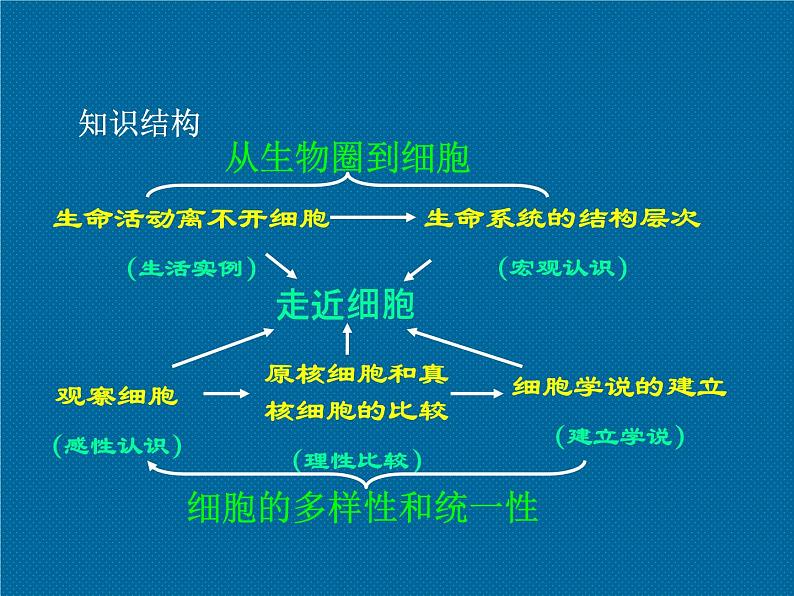 高中生物必修1全册总复习课件05