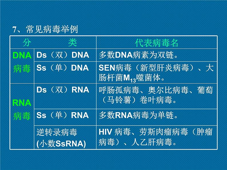 高中生物必修1全册总复习课件08