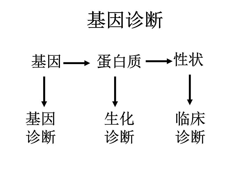 生物：1.2《基因诊断与基因治疗》课件（1）（新人教版选修2）03