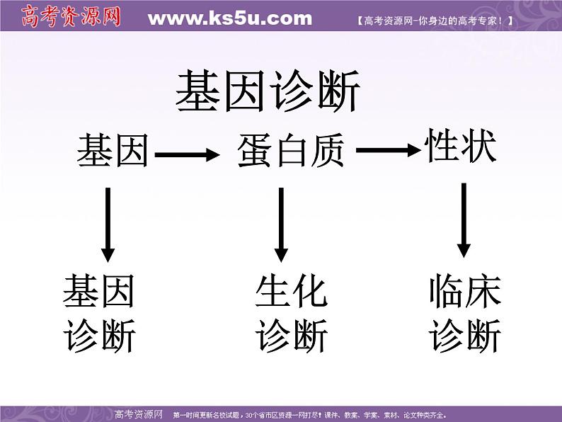 生物：1.2《基因诊断与基因治疗》课件（3）（新人教版选修2）第3页