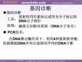 生物：1.2《基因诊断与基因治疗》课件（3）（新人教版选修2）