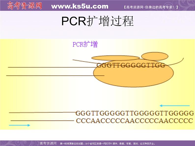 生物：1.2《基因诊断与基因治疗》课件（3）（新人教版选修2）第7页