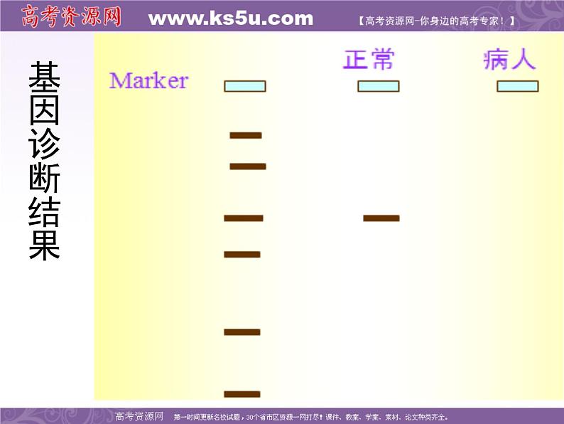 生物：1.2《基因诊断与基因治疗》课件（3）（新人教版选修2）第8页