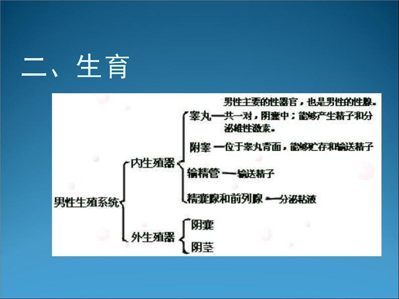 生物：1.4《生殖健康》课件3（新人教版选修2）04